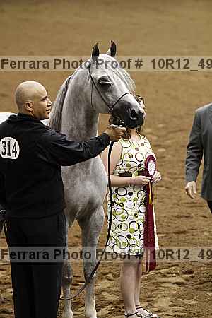 Proof Number 10r12_4967