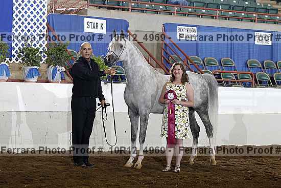 Proof Number 10r12_4969
