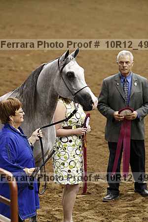 Proof Number 10r12_4971