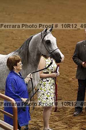 Proof Number 10r12_4973