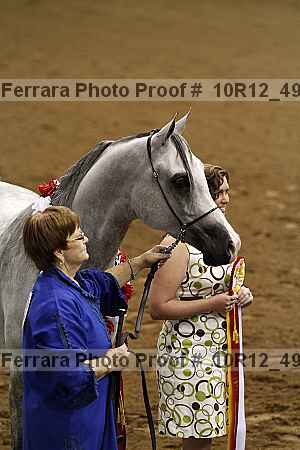 Proof Number 10r12_4976