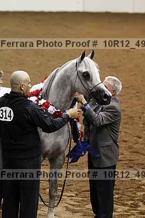 Proof Number 10r12_4981