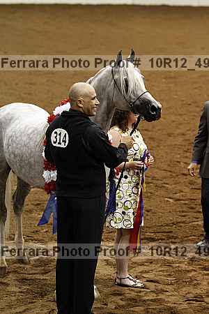 Proof Number 10r12_4983