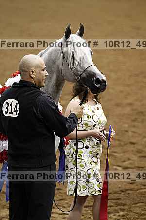 Proof Number 10r12_4985