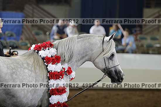 Proof Number 10r12_4987