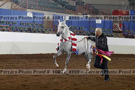 Proof Number 10r12_4989