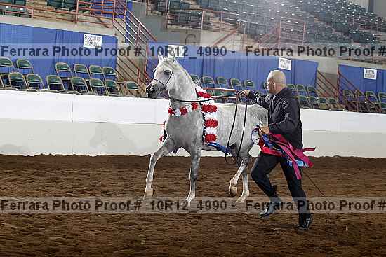 Proof Number 10r12_4990