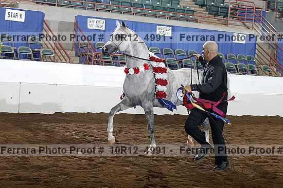 Proof Number 10r12_4991