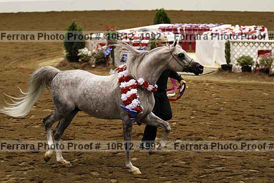 Proof Number 10r12_4992