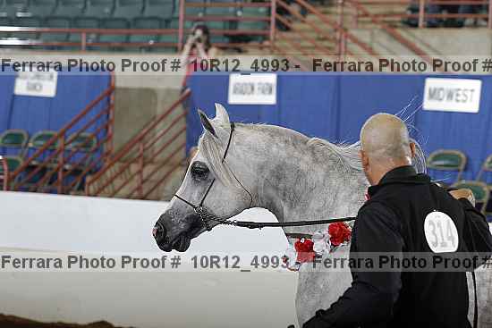Proof Number 10r12_4993