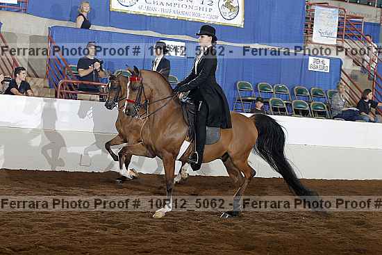 Proof Number 10r12_5062