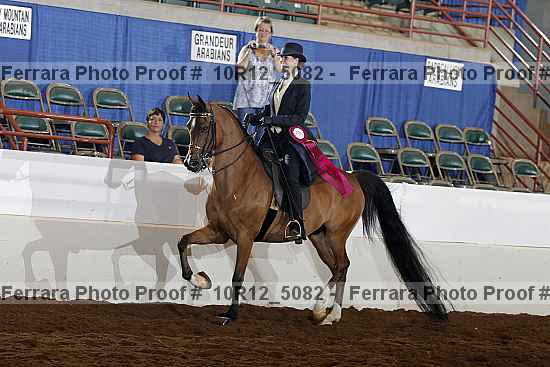 Proof Number 10r12_5082