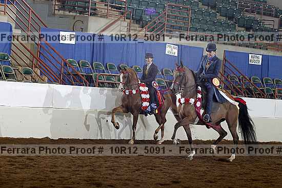 Proof Number 10r12_5091