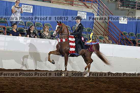 Proof Number 10r12_5099
