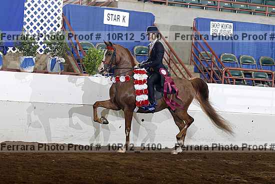 Proof Number 10r12_5100