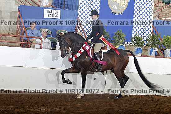 Proof Number 10r12_8072