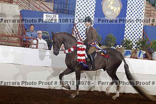 Proof Number 10r12_8076