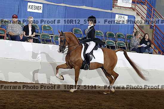 Proof Number 10r12_5194