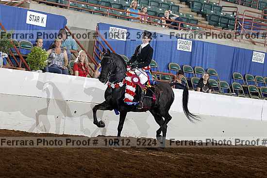 Proof Number 10r12_5224