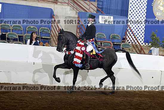 Proof Number 10r12_5225