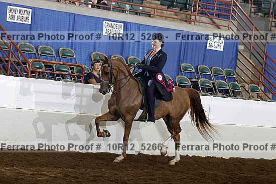 Proof Number 10r12_5266