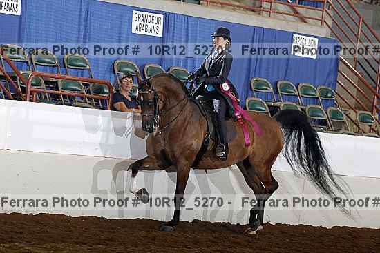 Proof Number 10r12_5270