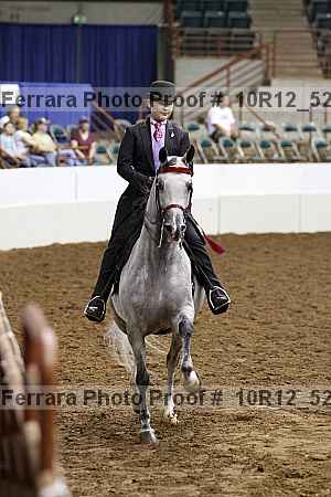 Proof Number 10r12_5278