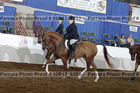Proof Number 10r12_8102