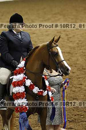 Proof Number 10r12_8113