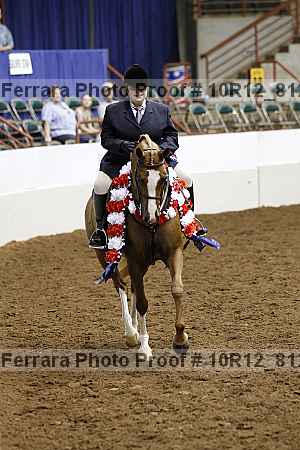 Proof Number 10r12_8127