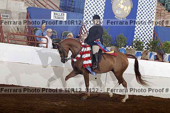 Proof Number 10r12_8132