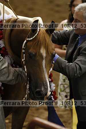 Proof Number 10r12_5305