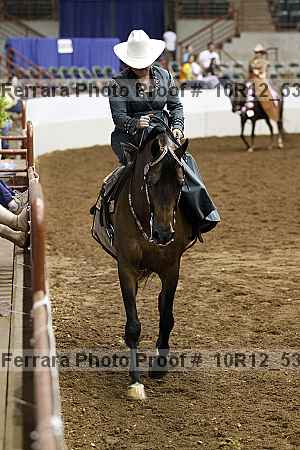 Proof Number 10r12_5317