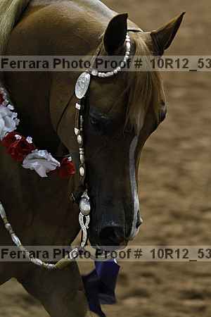Proof Number 10r12_5326