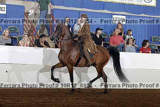 Proof Number 10r12_6954