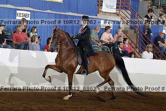 Proof Number 10r12_6962