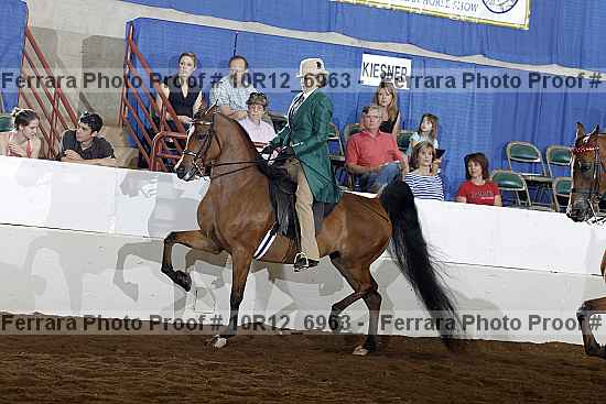 Proof Number 10r12_6963