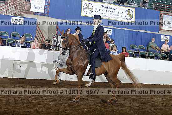Proof Number 10r12_6977