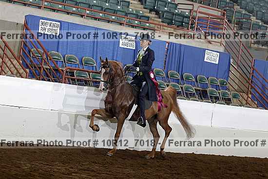 Proof Number 10r12_7018