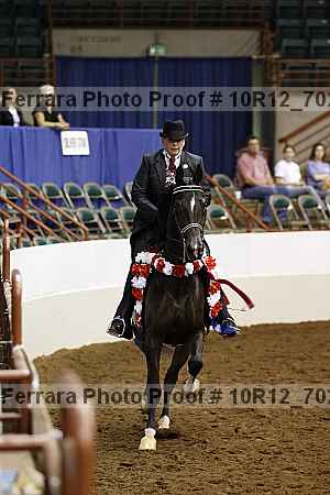 Proof Number 10r12_7028