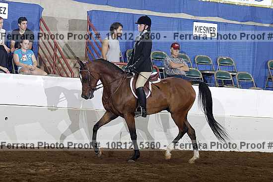 Proof Number 10r12_5360