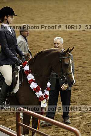 Proof Number 10r12_5372
