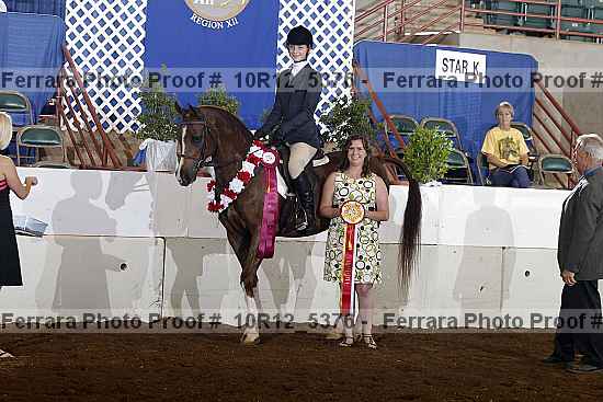 Proof Number 10r12_5376