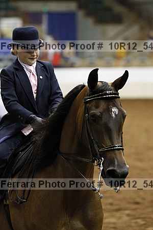 Proof Number 10r12_5450