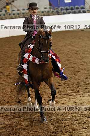 Proof Number 10r12_5459