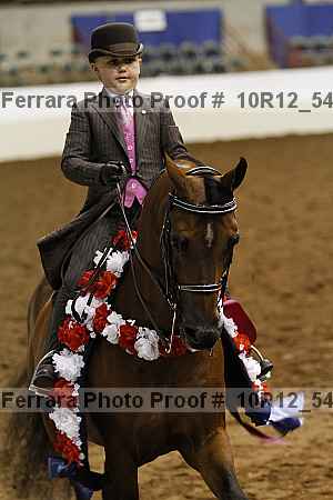 Proof Number 10r12_5460