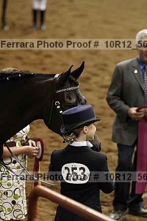 Proof Number 10r12_5602