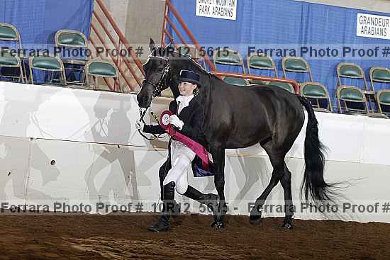 Proof Number 10r12_5615
