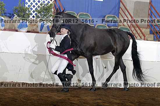 Proof Number 10r12_5616