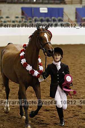 Proof Number 10r12_5620